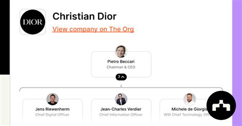 dior organizational structure